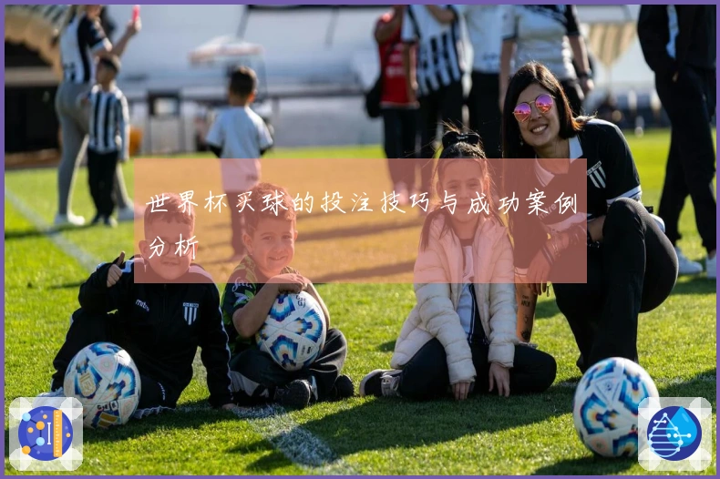 世界杯买球的投注技巧与成功案例分析