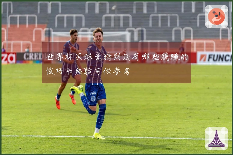 世界杯买球竞猜到底有哪些稳赚的技巧和经验可供参考
