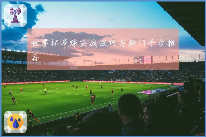 世界杯滚球实战技巧与热门平台推荐