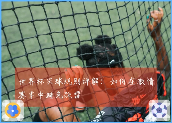 世界杯买球规则详解:如何在激情赛季中避免踩雷