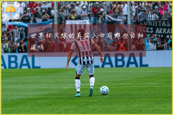 世界杯买球的真实入口有哪些你知道吗