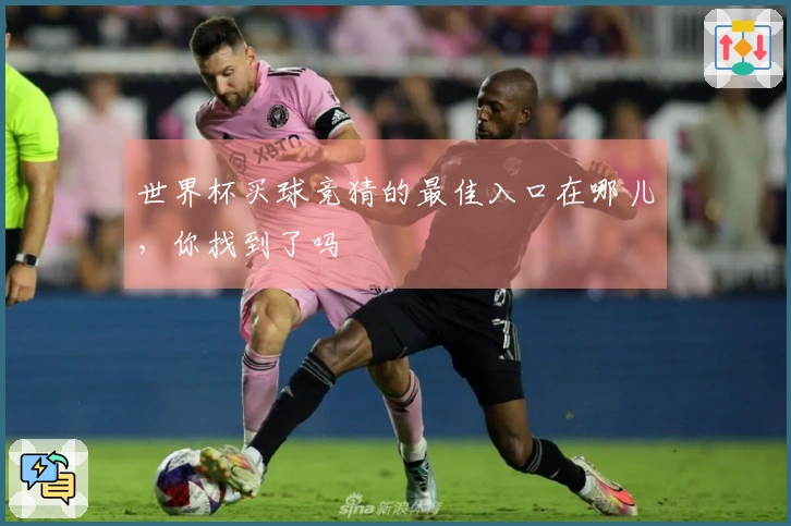 世界杯买球竞猜的最佳入口在哪儿，你找到了吗