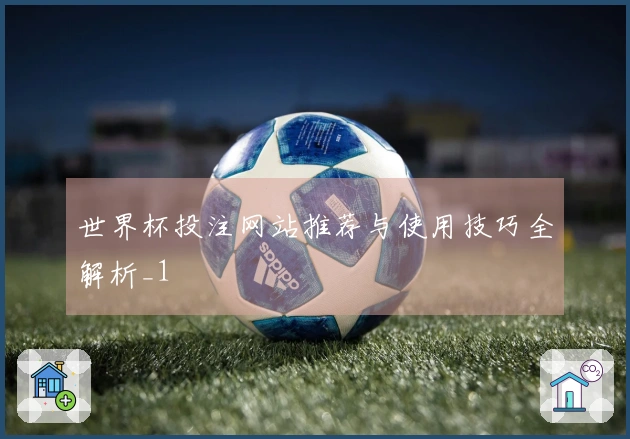 世界杯投注网站推荐与使用技巧全解析_1