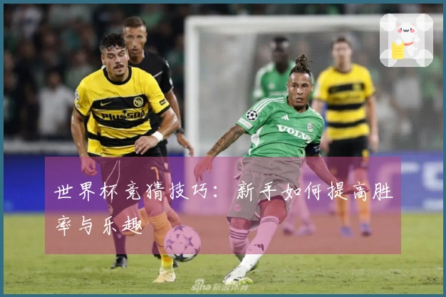 世界杯竞猜技巧：新手如何提高胜率与乐趣