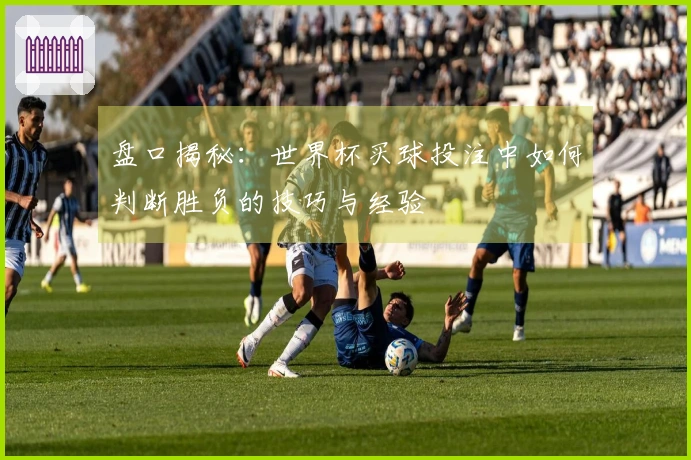 盘口揭秘：世界杯买球投注中如何判断胜负的技巧与经验