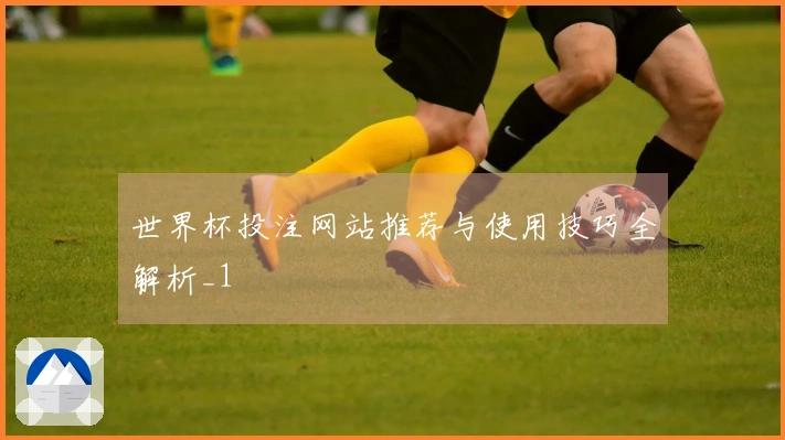 世界杯投注网站推荐与使用技巧全解析_1