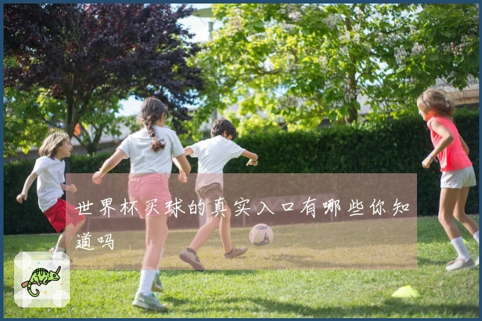 世界杯买球的真实入口有哪些你知道吗