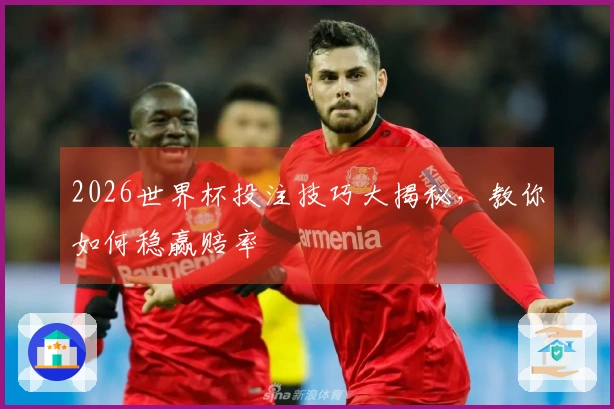 2026世界杯投注技巧大揭秘，教你如何稳赢赔率