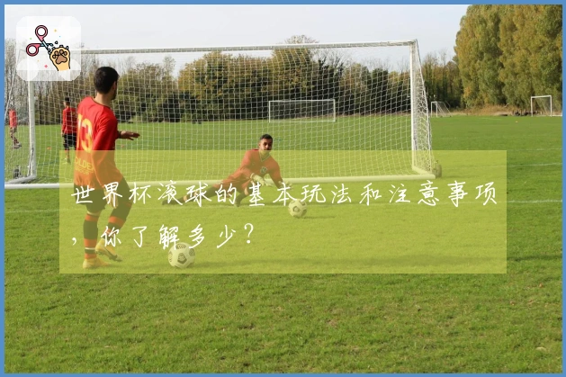 世界杯滚球的基本玩法和注意事项，你了解多少？