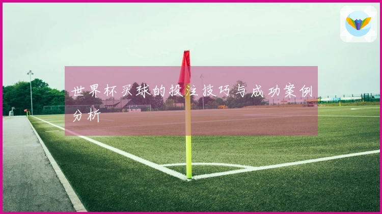 世界杯买球的投注技巧与成功案例分析