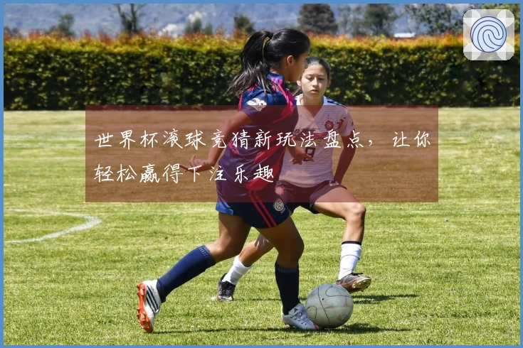 世界杯滚球竞猜新玩法盘点，让你轻松赢得下注乐趣