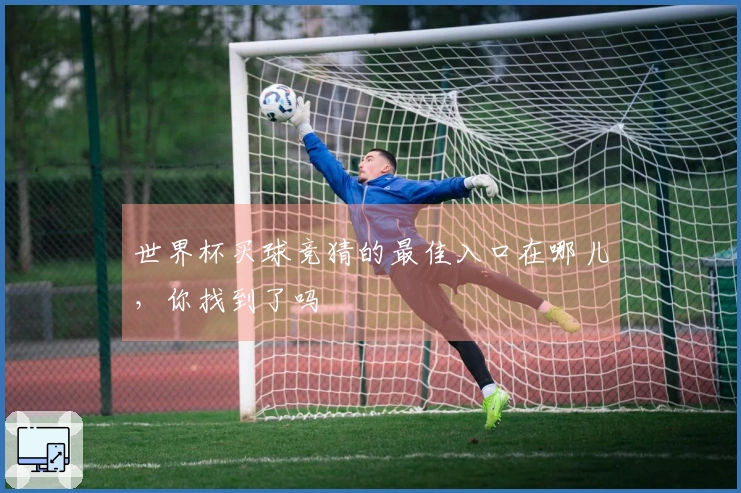 世界杯买球竞猜的最佳入口在哪儿，你找到了吗